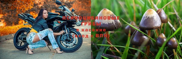 каннабис Липки