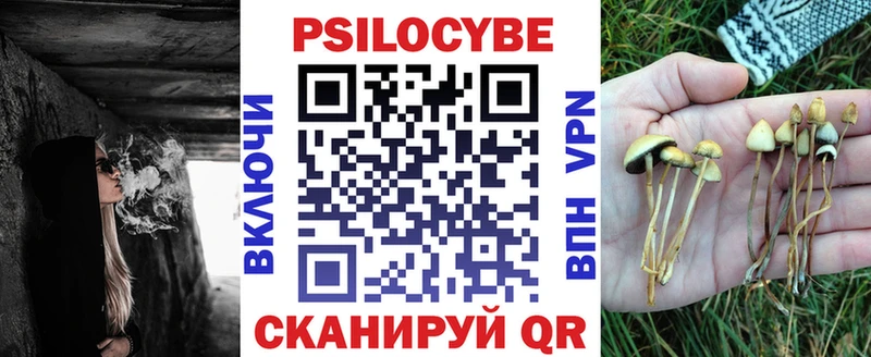 Купить  Железногорск-Илимский  Псилоцибиновые грибы MAGIC MUSHROOMS 