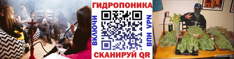 Канабис тримм  Купить закладки  Железногорск-Илимский 